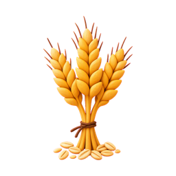 Whole grains Whole grains